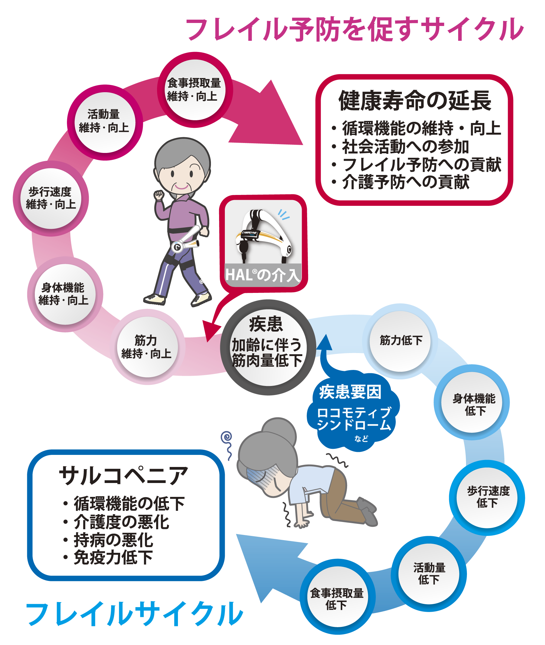 Cyberdyne Store 自宅でhal 腰タイプ 初めての方はこちら